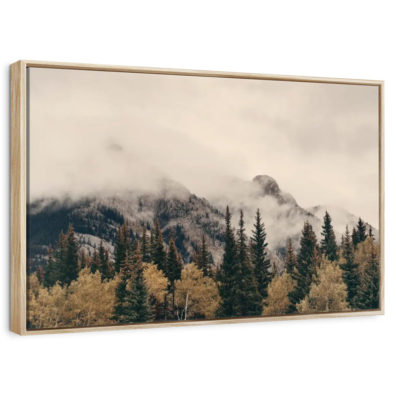 Foggy Banff National Park, Cadre flottant en bois naturel, 31 po x 21 po