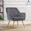 41.4cm H Velvet Upholstered Armchair-572470021
