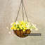 Kulas Hanging Planter