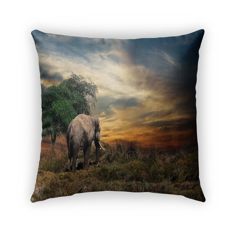 Housse et insert de coussin extérieur d'extérieur, 16 po x 1 po