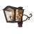 Adewale Steel Armed Sconce