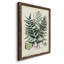 " Collected Ferns VII " Painting Print-356897288-356897294