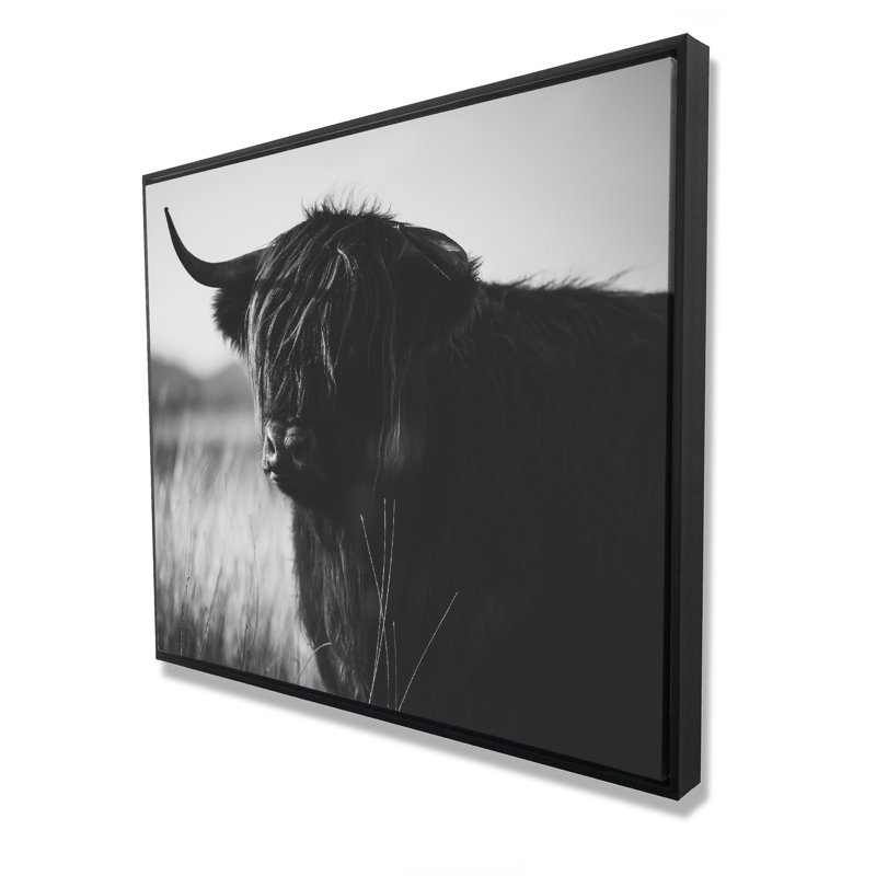 Belle vache Highland monochrome | Décor de toile de ferme