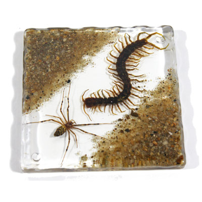 Silicone Square 1 Piece Coaster