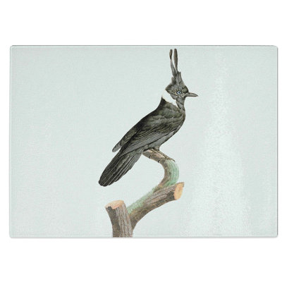 Tempered Glass Jay Bird Chopping Board