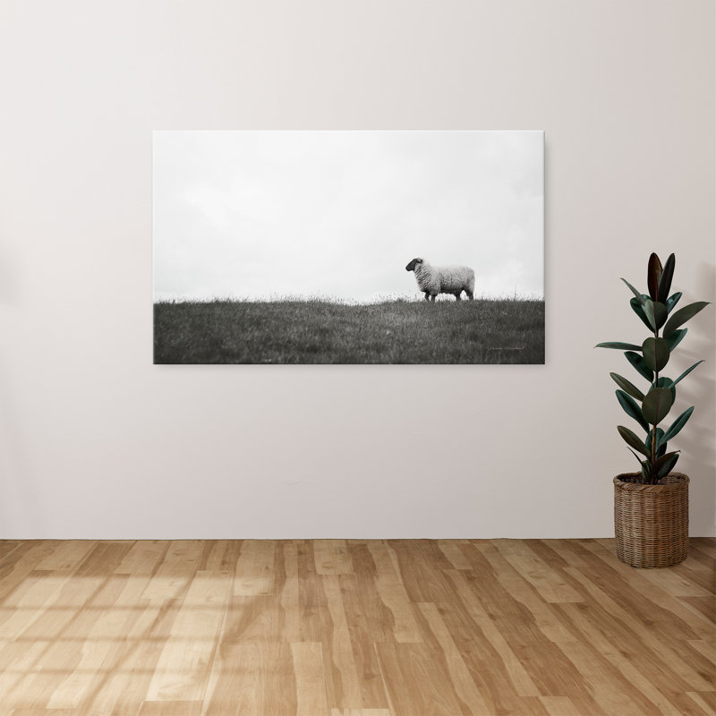 "Islay Sheep II" par Laura Marshall, reproduction sur toile, H 36 po x l 60 po