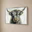Vache Highland-276928949-276928951