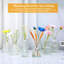 Ensemble de 18 vases en verre Brajttt