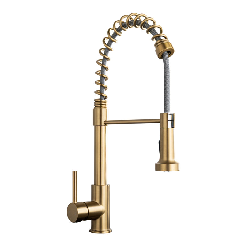 AA Warehousing Pull Out Kitchen Faucet, Brushed Gold