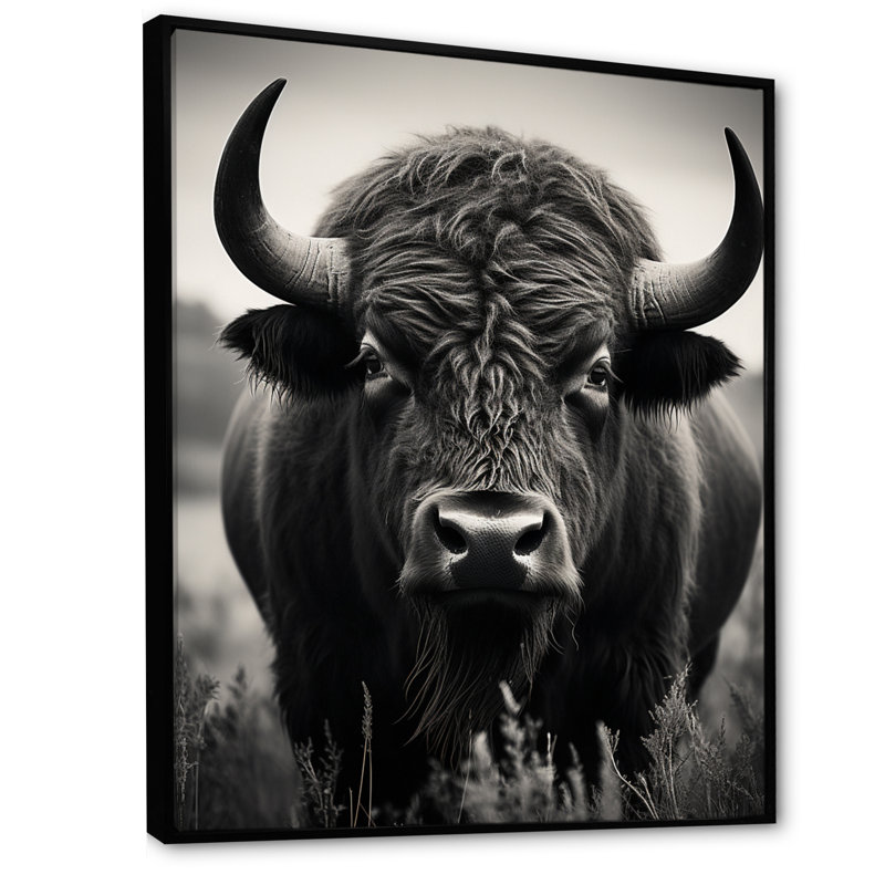 Bison Bison Grazing - Bison Wall Art, H 20 po x l 12 po x P 1 po, Cadre flottant noir