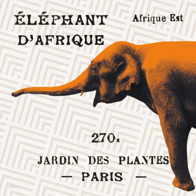 «Bright Safari Elephant On Taupe» par Sue Schlabach, H 12 po x l 12 po x P 1,25 po, Non, Toile avec cadre noyer