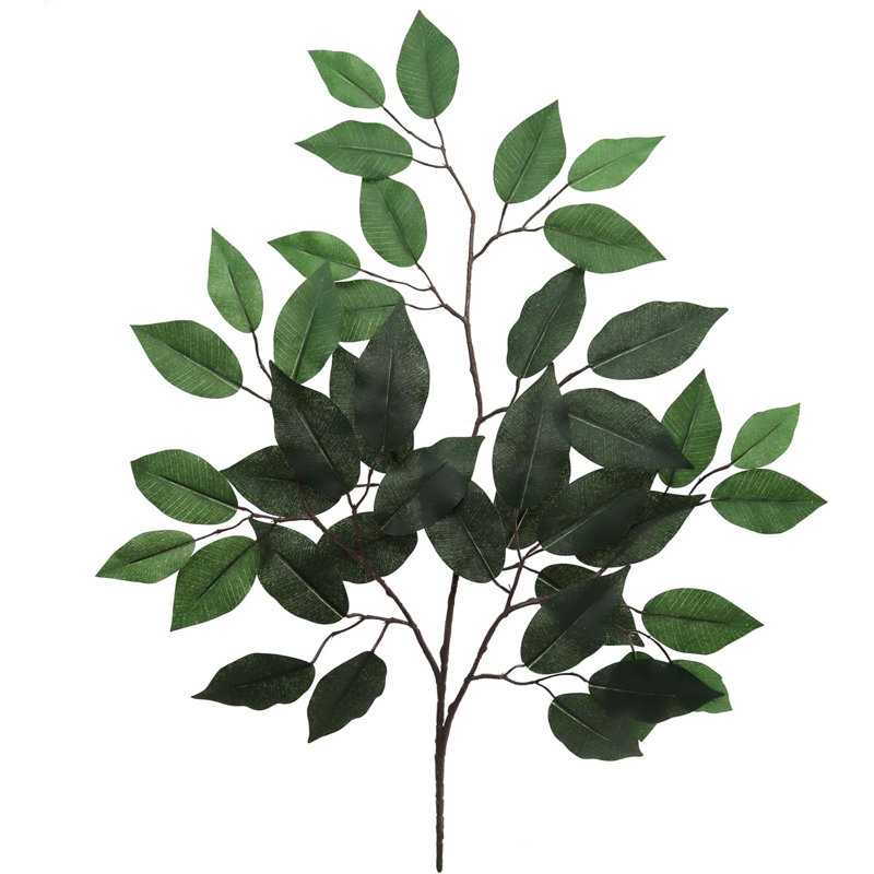 Ficus Spray 24" - 48 Pack