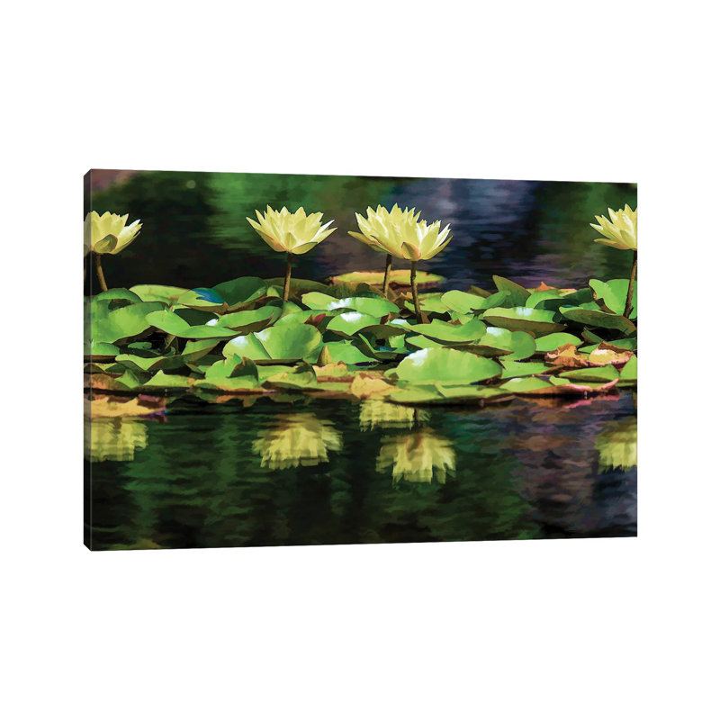 Lilly Pond by David Gardiner - Gallery-Wrapped Canvas Giclée on Canvas, 20.32 cm H x 30.48 cm W, Wrapped Canvas