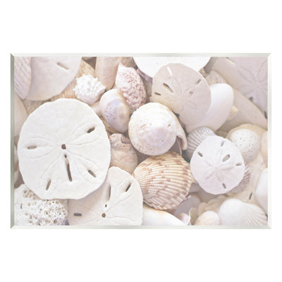 " White Mixed Sand Dollar Shells " by Lil' Rue