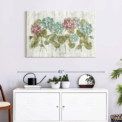 Harnek, rangée vibrante d'hortensias sur bois