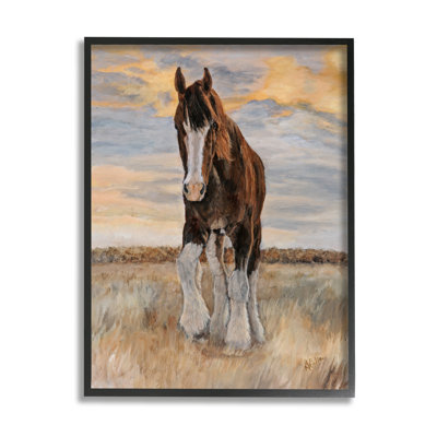 " Colt Horse Farmhouse Animal "