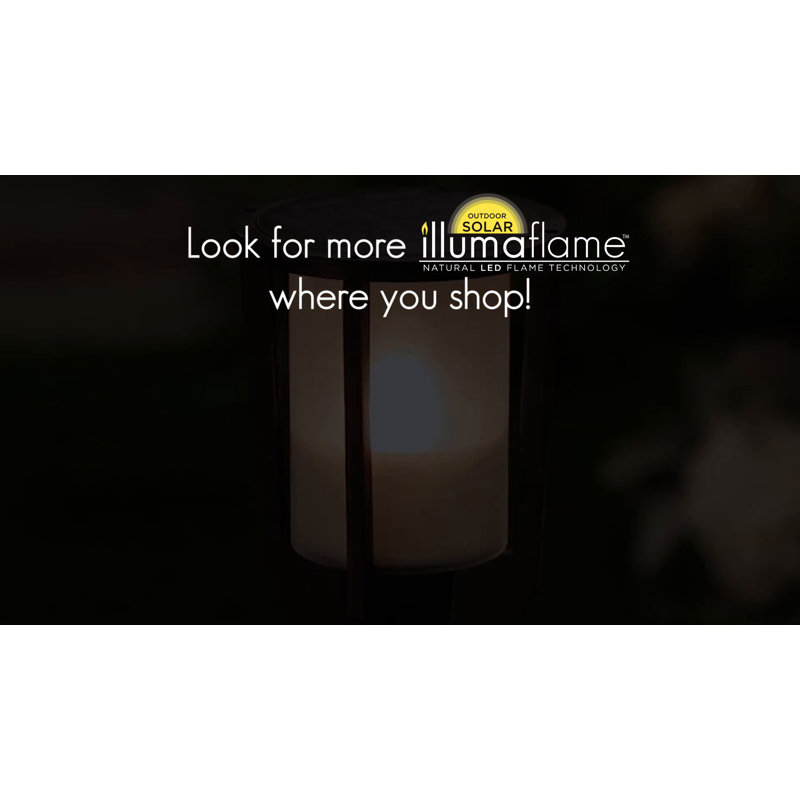 38-Inch Black Solar LED Pathway Torch Lantern Multipack