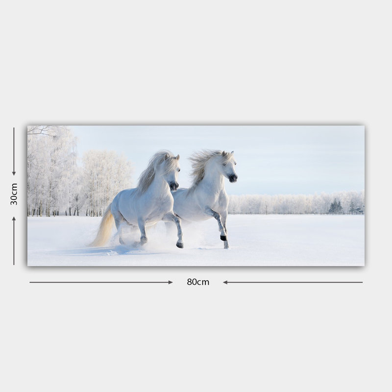Photographie sur toile tendue, H 12 po x l 31 po