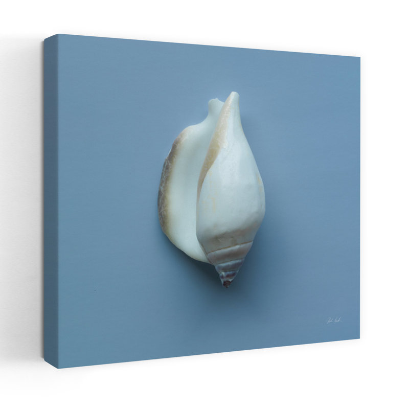 Coquillages contemporains Hope Cove II avec art conque bleu, H 32 po x l 32 po