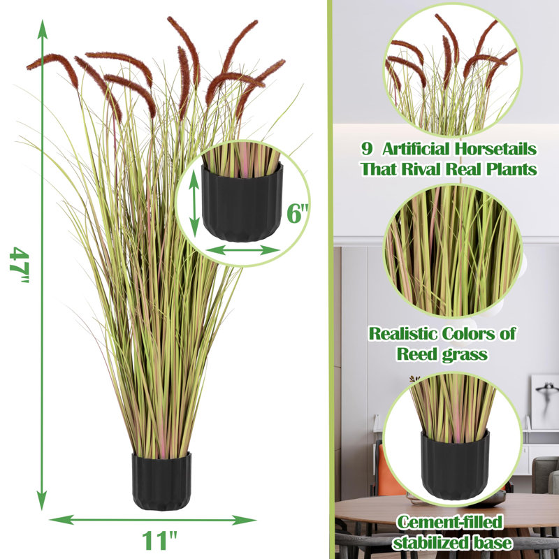 47.24'' Reed Grass Plant