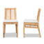 Ensemble de chaises de salle à manger 2 pièces Modern Bohemian
