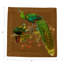 Square Napkins-177562011