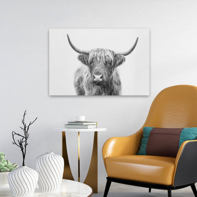 Pienaar – Highland Bull Black And White Nature Animal Photography Art Minimalist