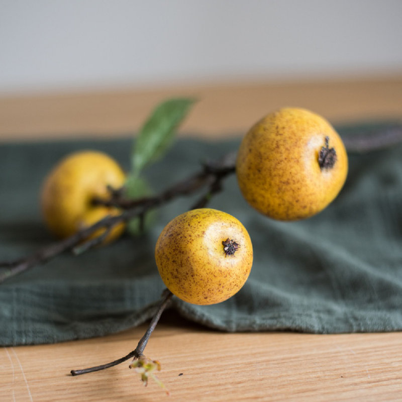 Tige artificielle de pomme de poire rustique, 5 tiges