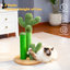 Grattoir pour chat Oasis Series-2106361657