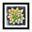 « succulent rosette iv », impression sur toile-32566961-72224660-72224665