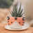 Dakota Fields Handmade Tiger Spring Ceramic Mini Flower Pot (Small)