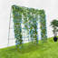 Treillis de jardin pour les plantes grimpantes