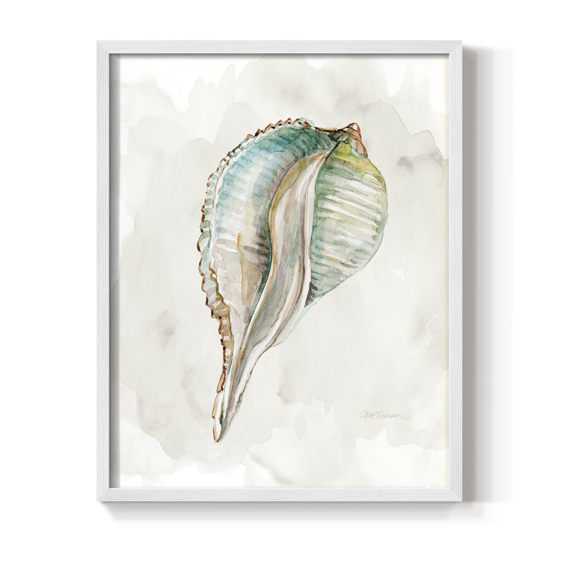 «Pastel Shell I», reproduction encadrée - bois massif, H 10 po x l 8 po, Blanc