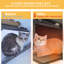 Abri extérieur pour chat
