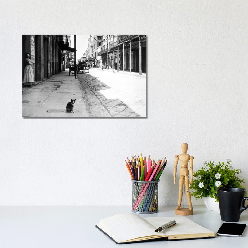 Early 1900s Cat Sitting On Street Older Section Of New Orleans Louisiana USA - Wrapped Canvas Print, 20.32 cm H x 30.48 cm W