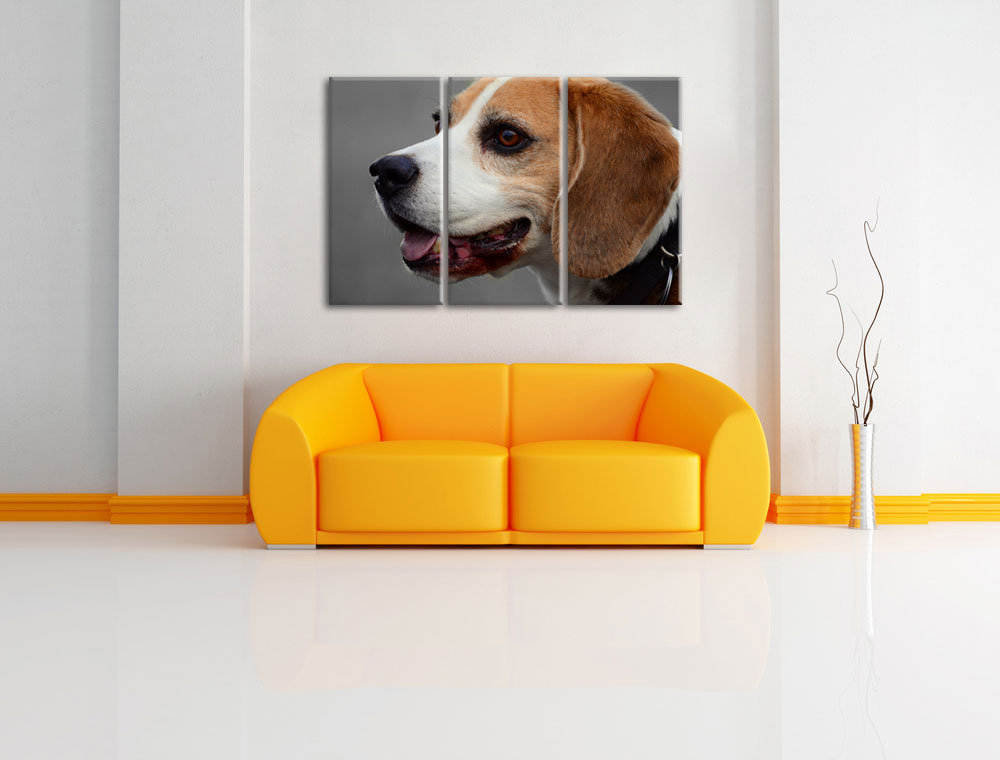 3-tlg. Leinwandbilder-Set „Stolzer Beagle im Seitenprofil“, Fotodruck