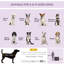 Pet Carrier with 1 Door-1701373598-1701373592
