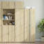 Slim Storage Cabinet 50X42.5X225 Cm Engineered Wood-393729291