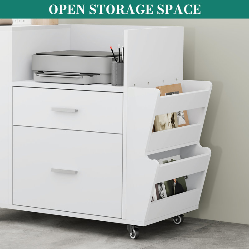 81cm Wide 2 -Drawer Mobile File Cabinet, White