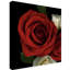 Dosta 'Red Rose' by Graphic Art Print on Wrapped Canvas-29225208
