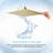 12-Inch High Pressure Rainfall Shower Head High Flow Stainless Steel Shower Head-62074669-123244137-123244135
