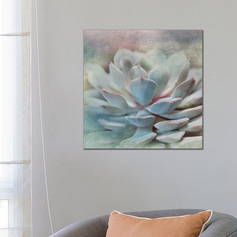 Pastel Succulent I 1 Piece Wrapped Canvas Wall Art, 66.04 cm H x 66.04 cm W x 1.91 cm D