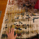 Trent Austin Design® Charest Performance Rug & Reviews | Wayfair