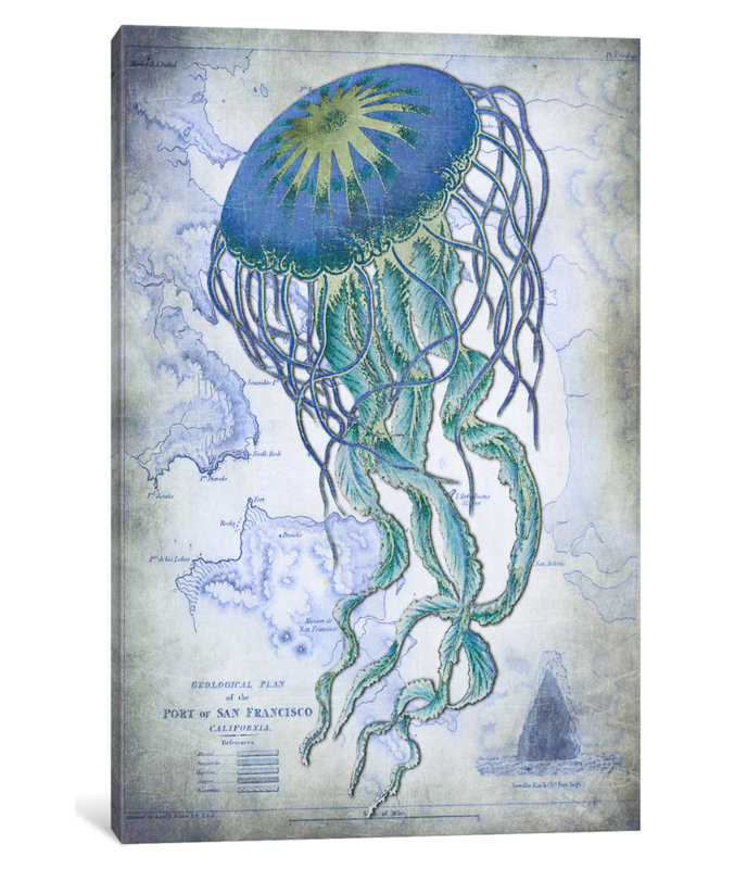 «Jellyfish on Image of Nautical Map», impression sur toile, H 26 po x l 18 po x P 1,5 po, Toile tendue, Pas de tapis
