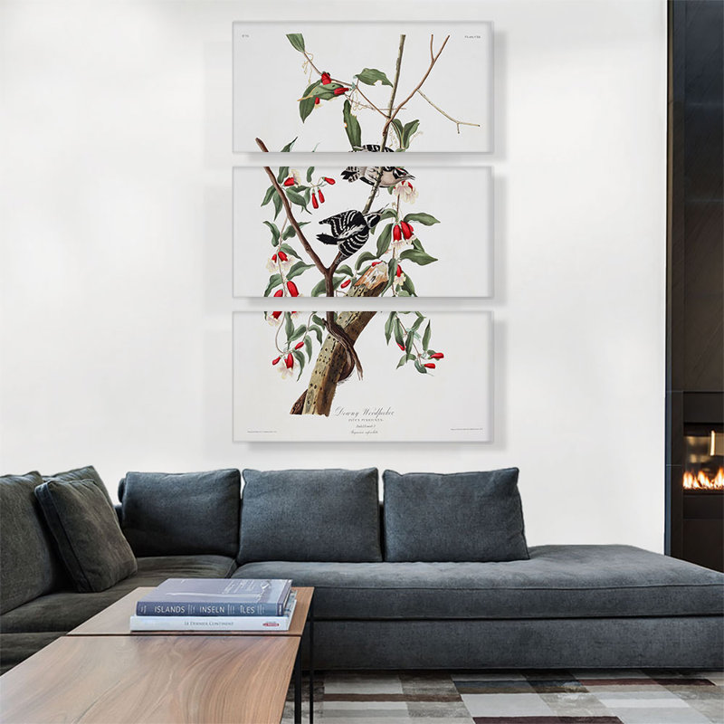 «Downy Woodpecker» par James Audubon - ensemble de 3 reproductions d'art sur toiles tendues, H 60 po x l 40po x P 1,5 po