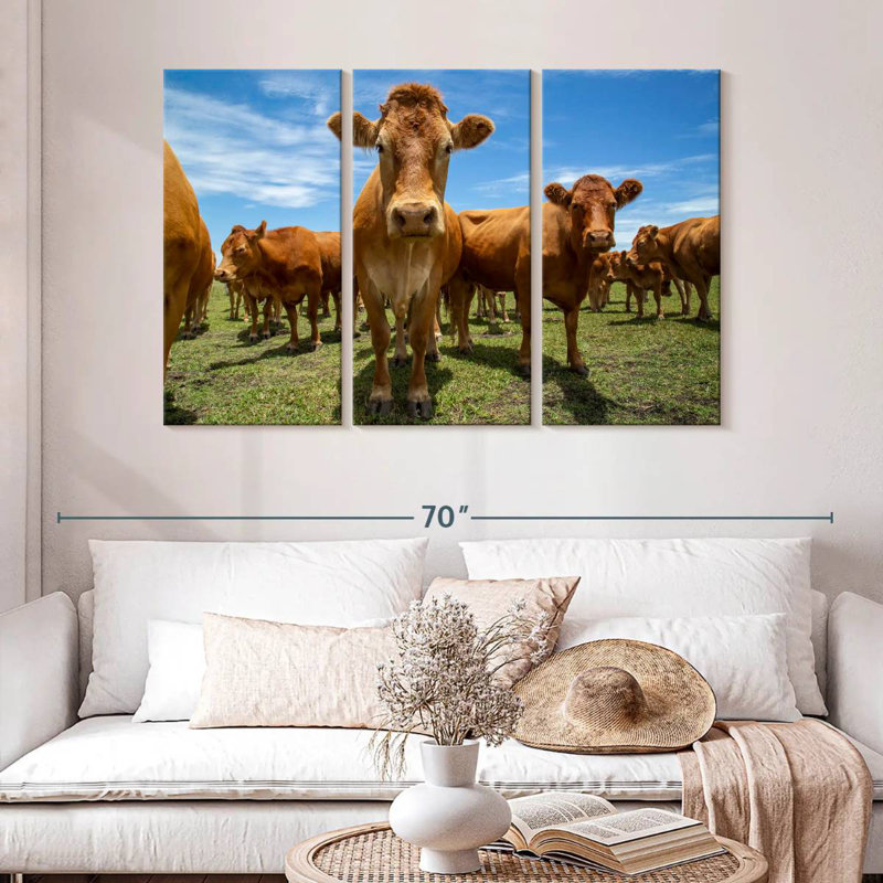 Gathering Beef Cattle