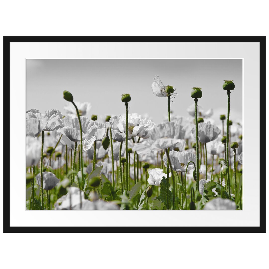 Gerahmtes Poster Blumenwiese Mohnblumen