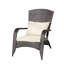 Chaise de patio avec coussins (coussin)-240419461