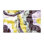Thorold Hand Loomed Washable Abstract Indoor Rug
