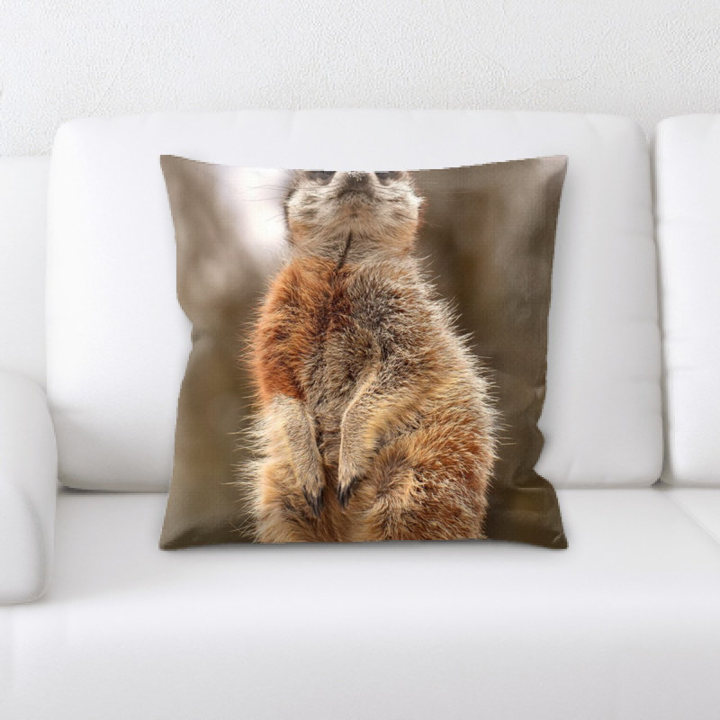 Coussin suricate